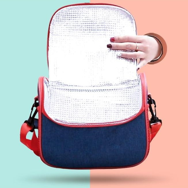 Sac Isotherme Haute Qualité (Petit Format) Refroidisseur