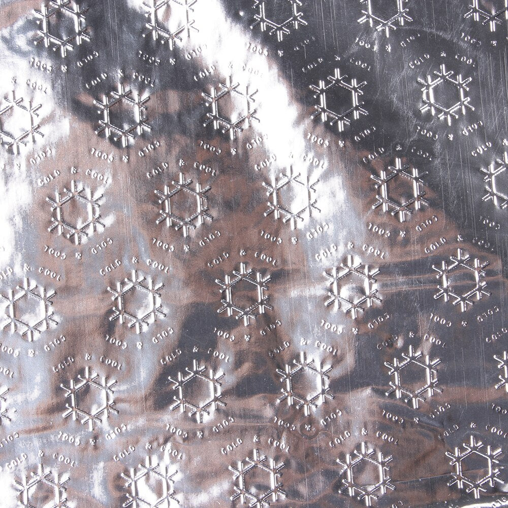 Sac Isotherme Haute Qualité (Petit Format) Emballages